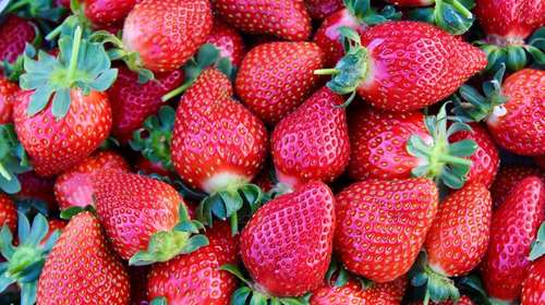 Λαχταριστές συνταγές με φράουλες