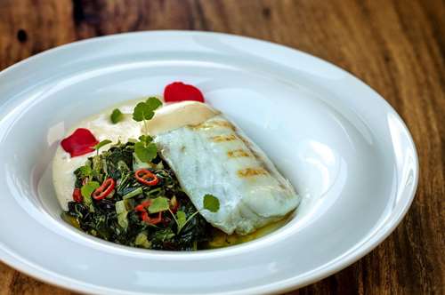 Η σφυρίδα της Κωνσταντίνας Φάκλαρη