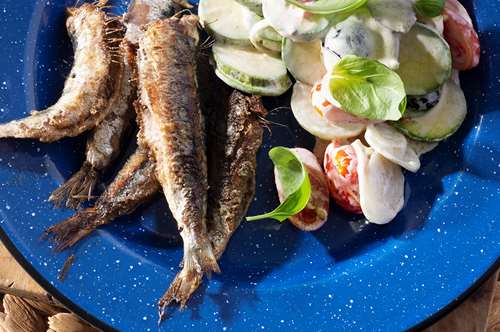 Απολαμβάνοντας τη σαρδέλα