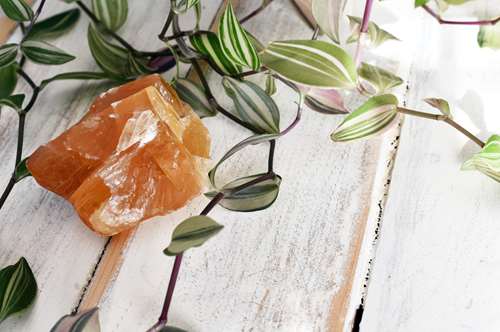 Βραχάκια Μελιού