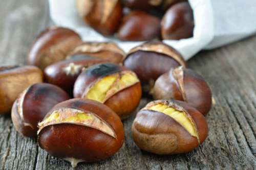 Τα μυστικά του κάστανου