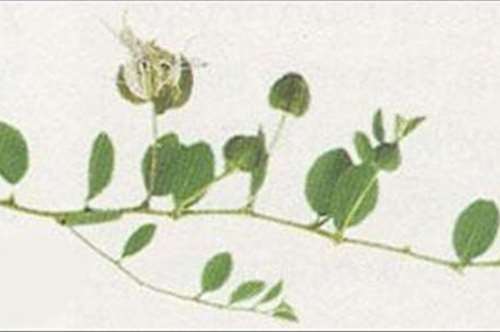 Τα κάναμε σαλάτα 