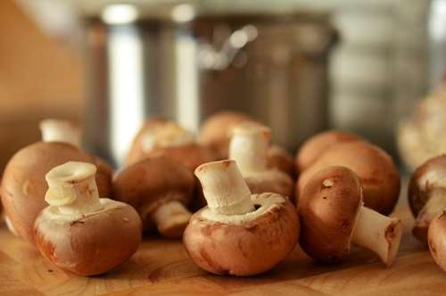Τα μανιτάρια φέρνουν το δάσος στην κουζίνα μας