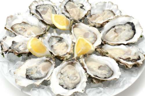 Οστρακα: γευστικοί θησαυροί στο τραπέζι 