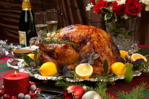 Γαλοπούλα, η ντίβα της γιορτής