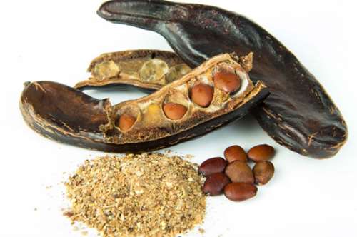 Χαρούπι: ένα τρόφιμο πολλών καρατίων