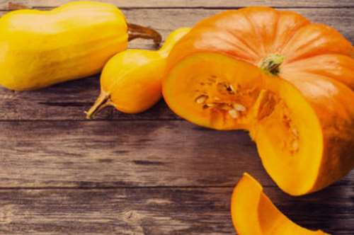 Δαμάζοντας την κολοκύθα