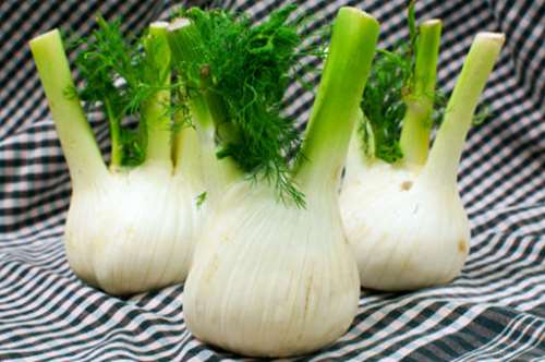 Με σελινόριζα και φινόκιο (μαραθόριζα)