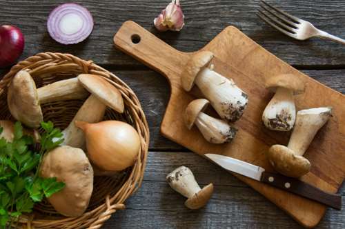 Μανιτάρια του δάσους στην κουζίνα μας