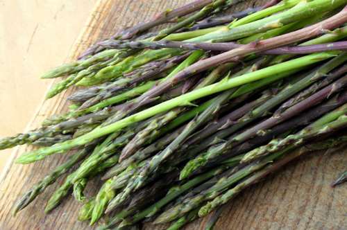 Εποχή για άγρια σπαράγγια