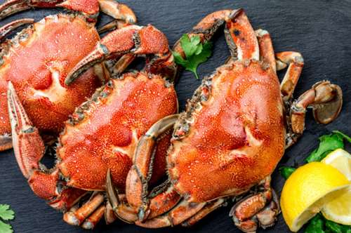 Μπλε καβούρι: o νόστιμος εισβολέας μένει πια εδώ