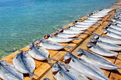 Στα γαστρονομικά μονοπάτια της Νάξου