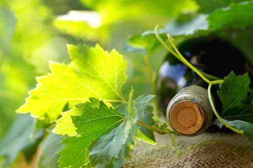 Το Beaujolais Nouveau είναι ξανά εδώ