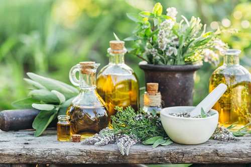 Φρέσκα μυρωδικά και βότανα: η χρήση και τα tips τους