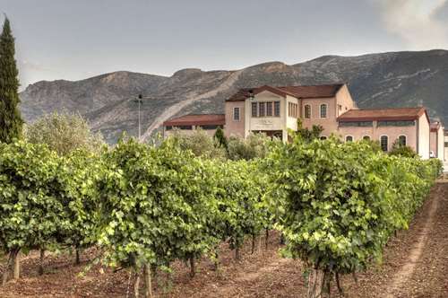 Μεγάλες μέρες έρχονται για τα εκλεκτά κρασιά και τα Λιθόγραφα της Νεμέας