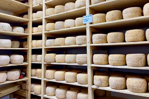 Tα εμβληματικά Π.Ο.Π. τυριά των Κυκλάδων και τέσσερα τυροκομεία με παράδοση