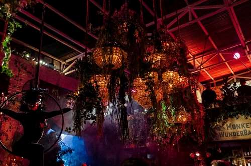 Μια νύχτα στο δάσος του Μέλανα Δρυμού