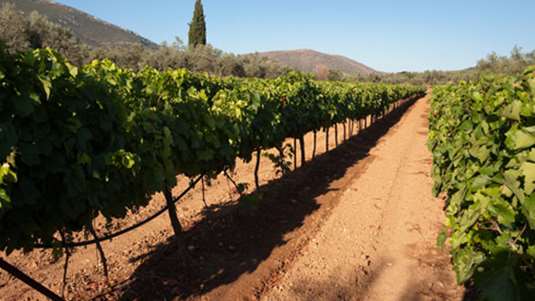 γλυκό Παρί - Μπρεστ