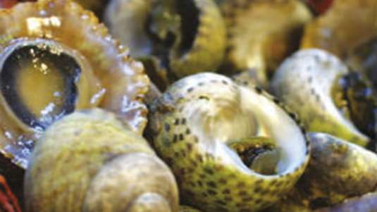 Κοχλιοί και πεταλίδες πιλάφι