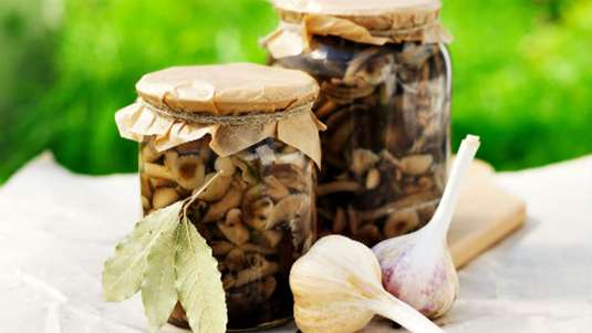 Τουρσί άγριων μανιταριών