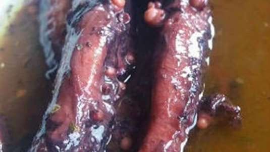 Χταπόδι ξυδάτο