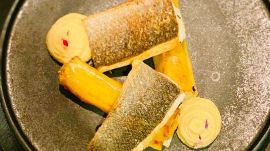 Φιλέτο λαβράκι, χούμους και κανελόνι γεμιστό με μελιτζάνα 