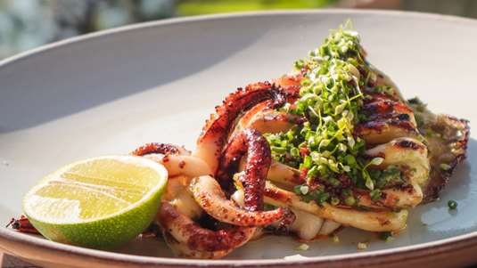 Καλαμάρι με Σάλτσα Βασιλικού