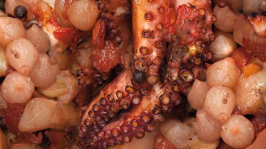 Χταπόδι στη Γάστρα με Κρεμμυδάκια και Κρασί