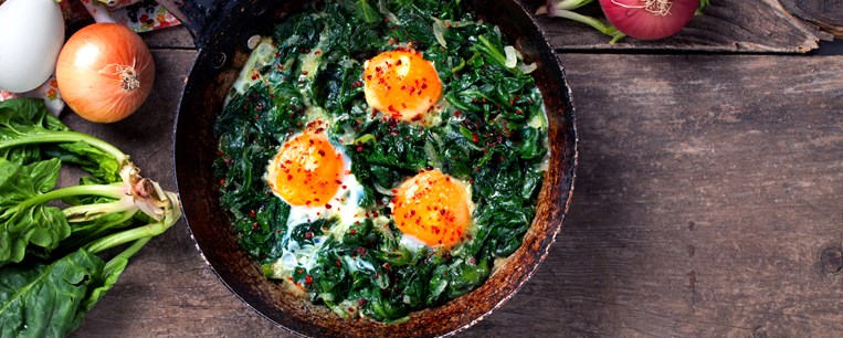 ΤΗΓΑΝΙΑ ΜΕ ΣΠΑΝΑΚΙ