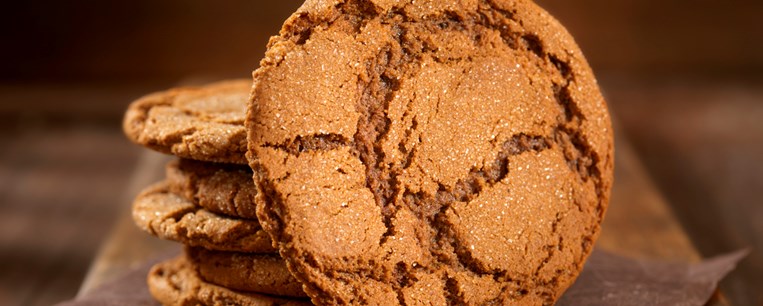 ΜΠΙΣΚΟΤΑΚΙΑ ΜΕ ΤΖΙΝΤΖΕΡ