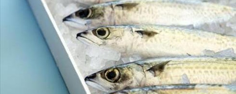 Ψάρι: Μυστικά και ψέματα