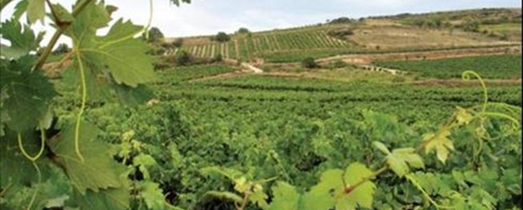 Marques de Caceres