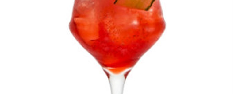 Grapefruit Spritz