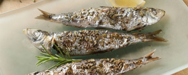 Οι σαρδέλες φεύγουν οι γόπες έρχονται
