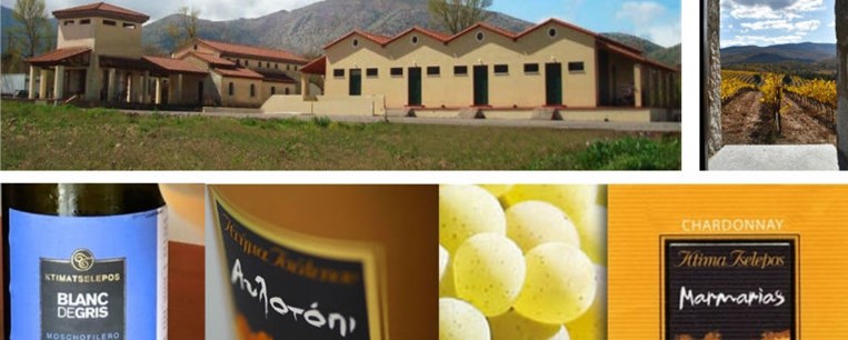 Kάθετη γευσιγνωσία «Αυλοτόπι» με τον Γιάννη Τσέλεπο